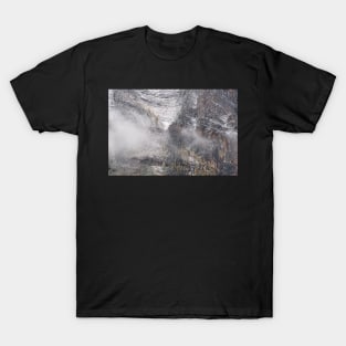 Lake Louise view #7 T-Shirt